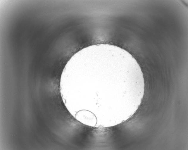 X0000054440672200508051900