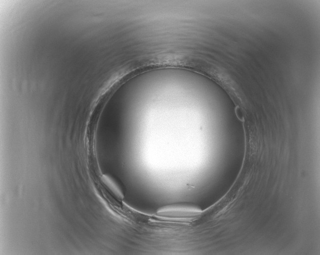 X0000054440674200508051859