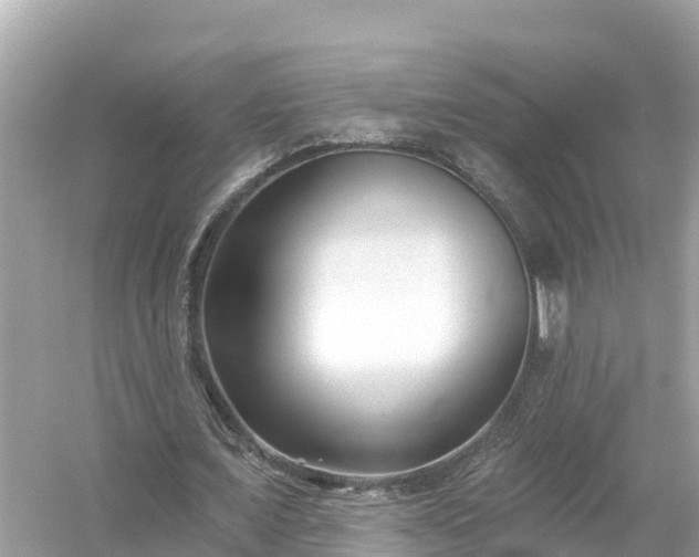 X0000054440675200508051859