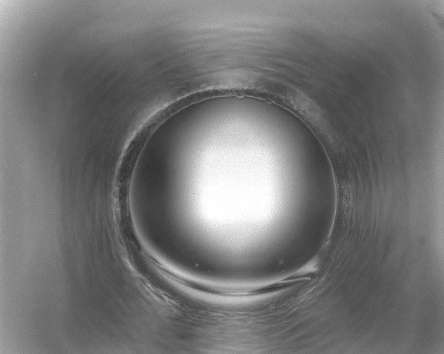 X0000054440676200508051859