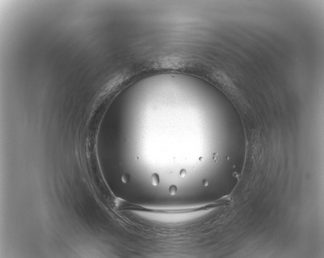 X0000054440683200508051859