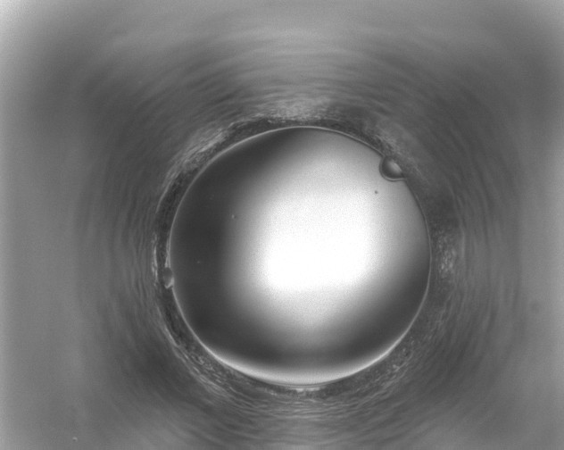 X0000054440685200508051859