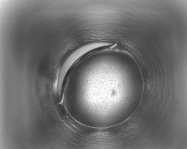 X0000054440691200508051859