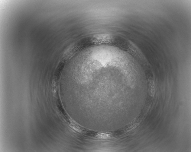 X0000054440701200508051859