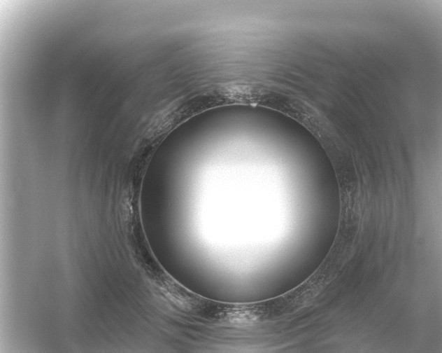 X0000054440702200508051859