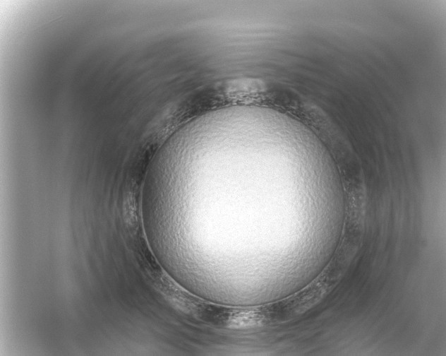 X0000054440705200508051859