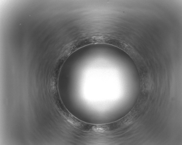 X0000054440706200508051859