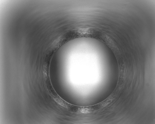 X0000054440710200508051859