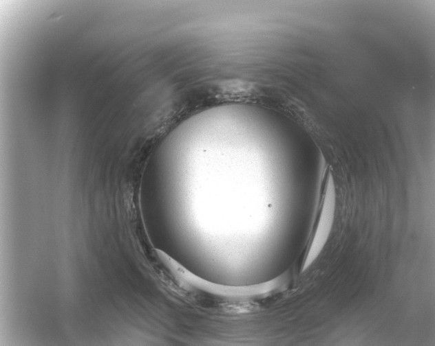 X0000054440711200508051859