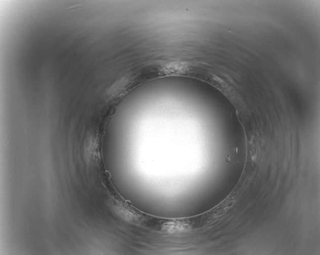 X0000054440714200508051859