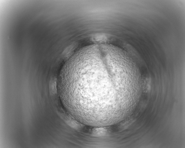 X0000054440717200508051859