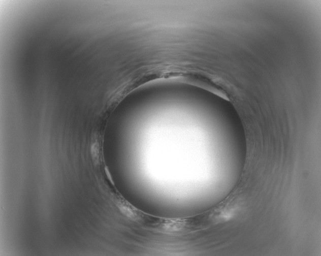 X0000054440720200508051859