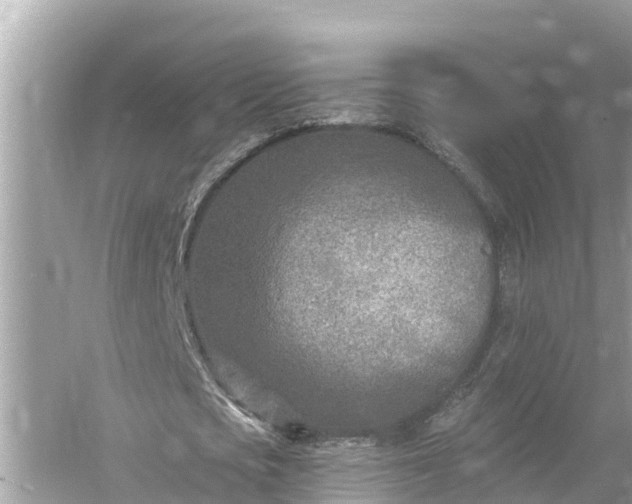 X0000054440721200508051858