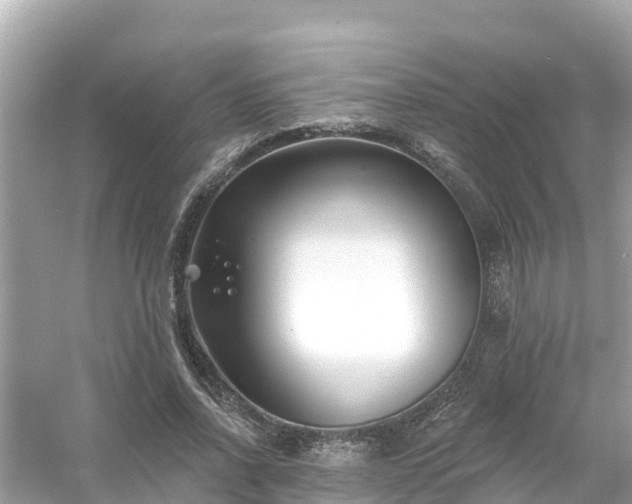 X0000054440734200508051858