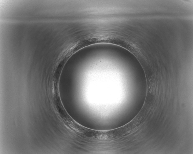 X0000054440740200508051858