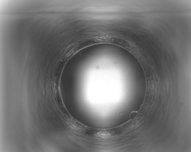 X0000054440749200508051858