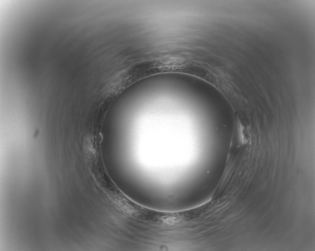 X0000054440755200508051858