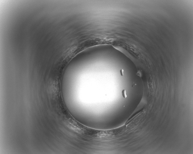 X0000054440756200508051858