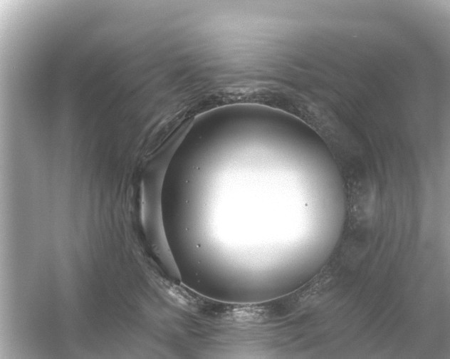 X0000054440758200508051858