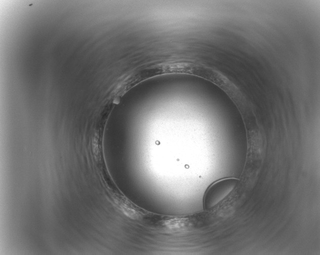 X0000054440761200508051858