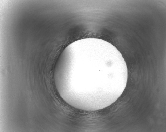 X0000054440769200508051858