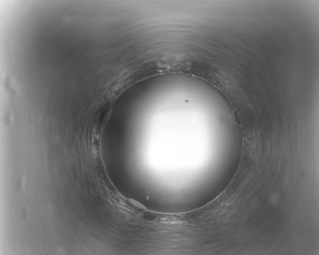 X0000054440770200508051858