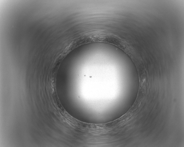 X0000054440772200508051858