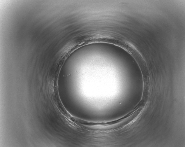 X0000054440777200508051858