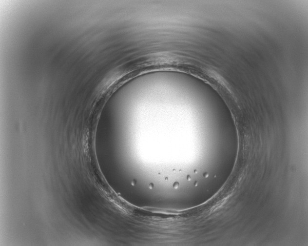 X0000054440778200508051858