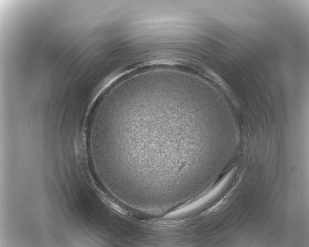 X0000054440779200508051858