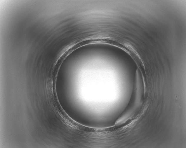 X0000054440781200508051857