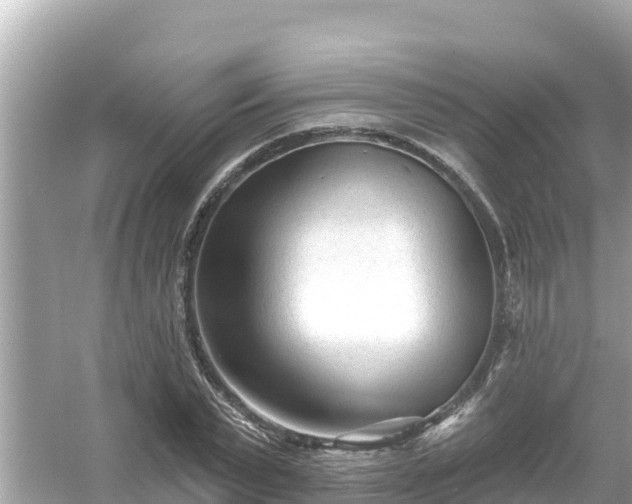 X0000054440783200508051857