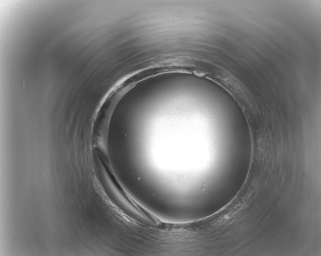 X0000054440784200508051857