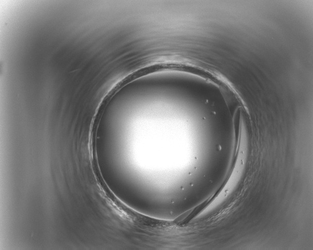 X0000054440791200508051857