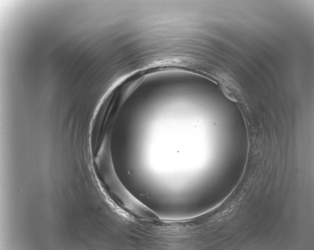 X0000054440792200508051857