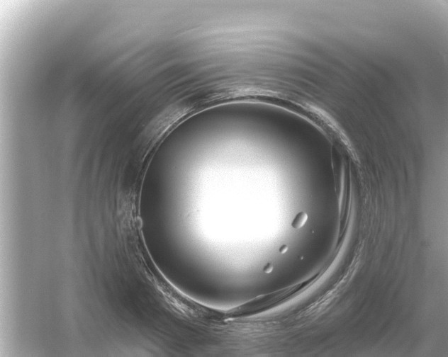 X0000054440793200508051857