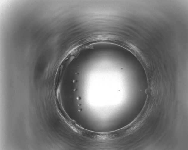 X0000054440794200508051857