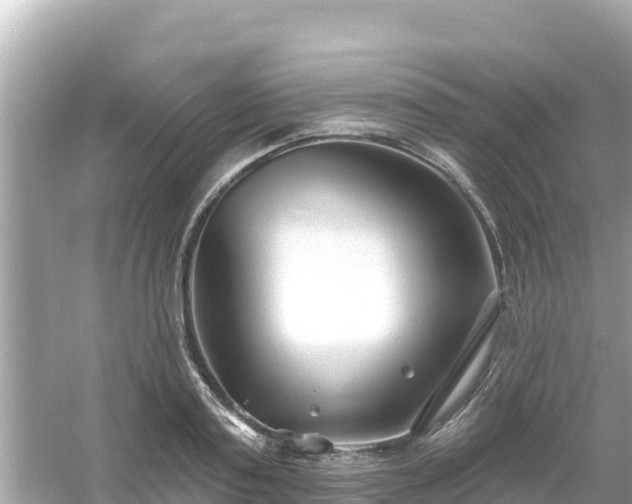 X0000054440795200508051857