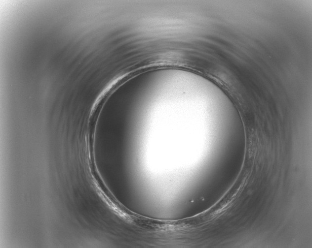 X0000054440796200508051857