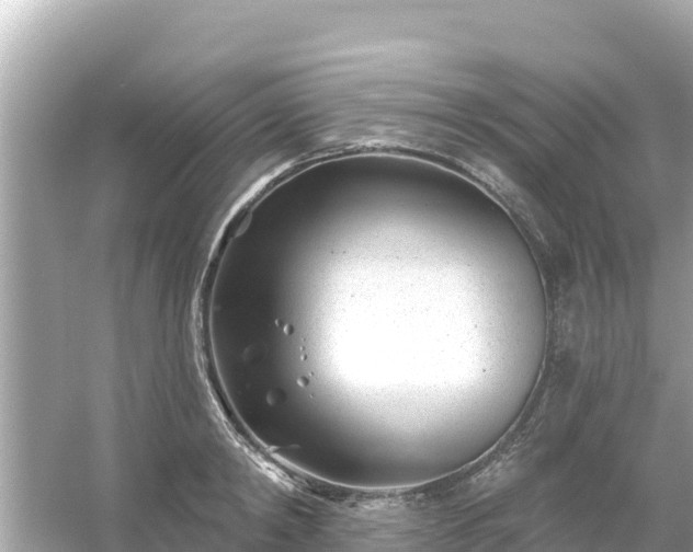 X0000054440798200508051857