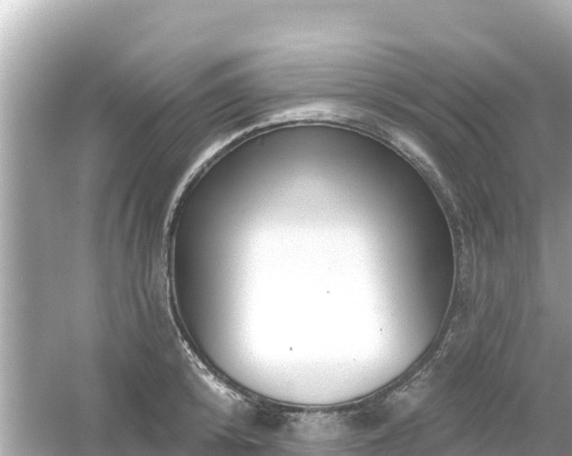 X0000054440800200508051857