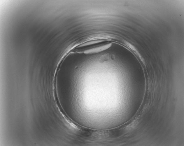 X0000054440802200508051857