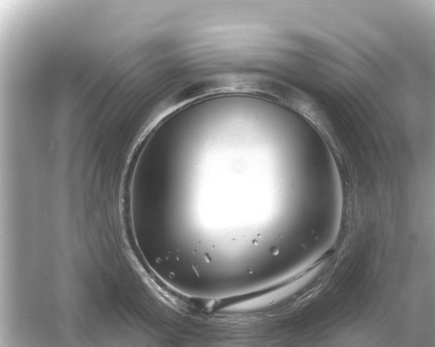 X0000054440803200508051857