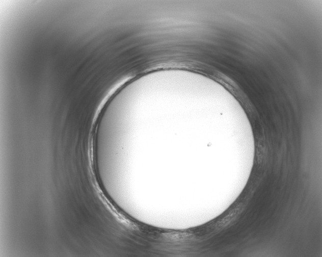 X0000054440804200508051857