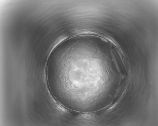 X0000054440806200508051857