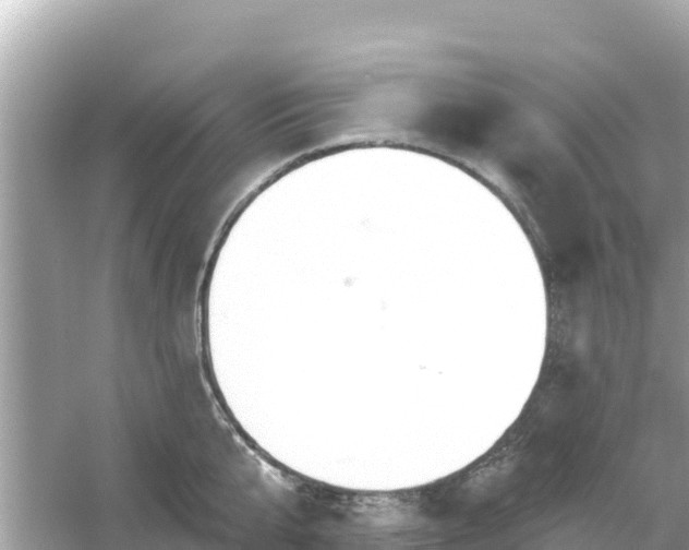 X0000054440807200508051857