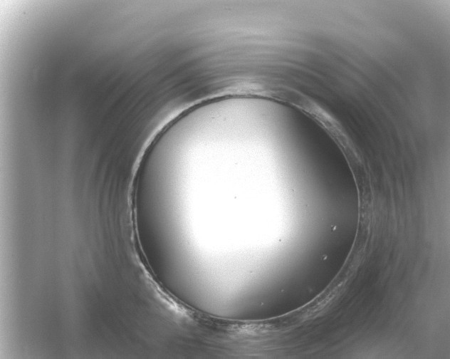 X0000054440808200508051857