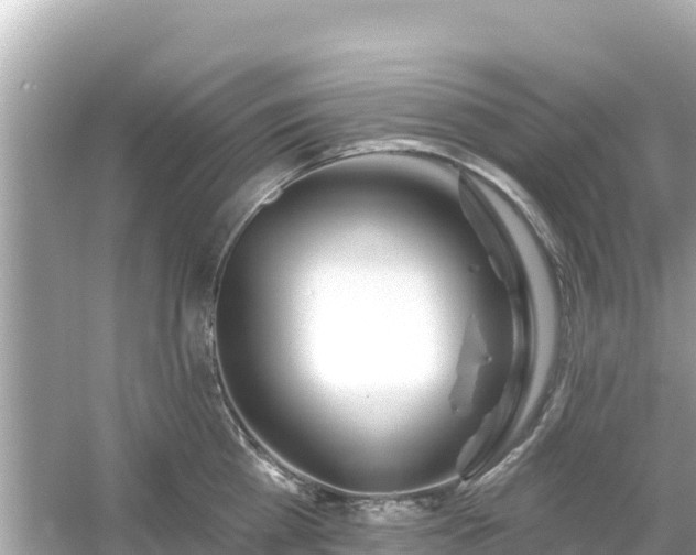 X0000054440809200508051857