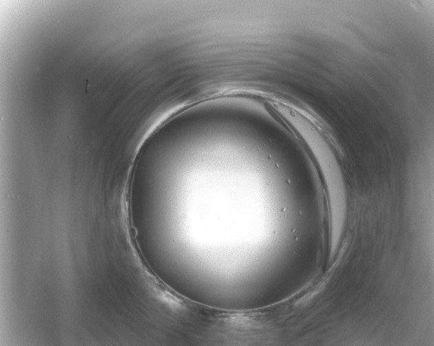 X0000054440814200508051857