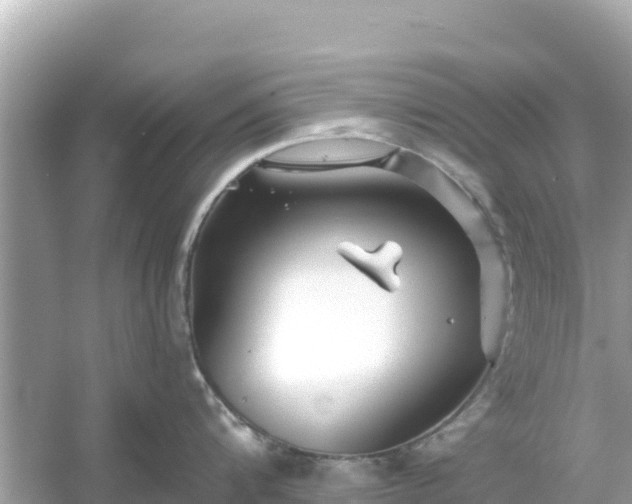 X0000054440816200508051857